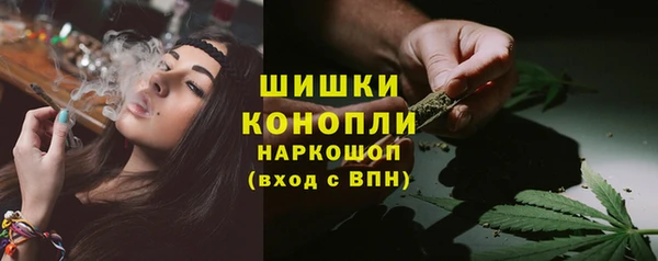 ПСИЛОЦИБИНОВЫЕ ГРИБЫ Лагань