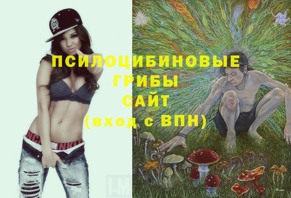 apvp Аркадак