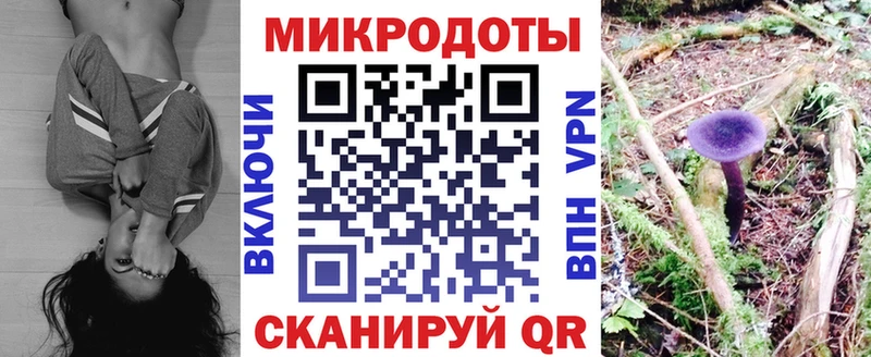 гидра сайт  shop телеграм  Псилоцибиновые грибы Magic Shrooms  Покачи 